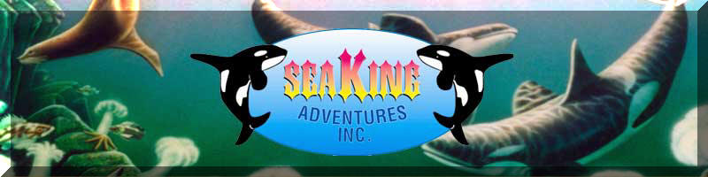 Seaking adventures inc.